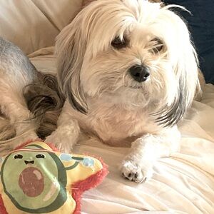 Buy my moms items! I need more toys!